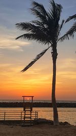 Silhouette tree on beach against sky during sunset