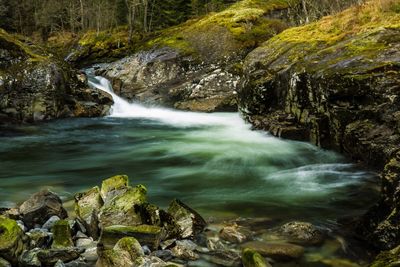 Scenic view of waterfall in forest