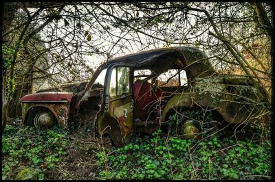 Old abandoned house