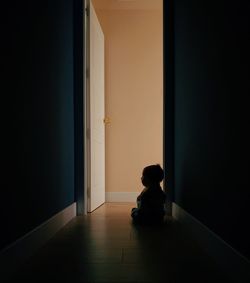 Rear view of baby sitting on hardwood floor at home