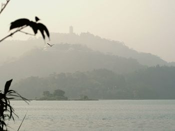 Silhouette of people in water