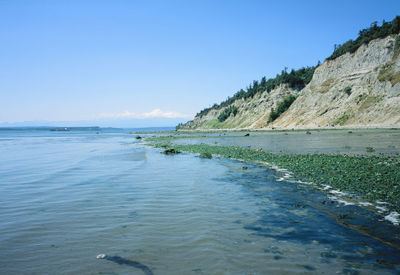 Scenic view of sea against clear blue sky