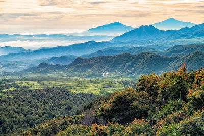 Scenic view of tree mountains against sky