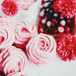 Close-up of pink roses