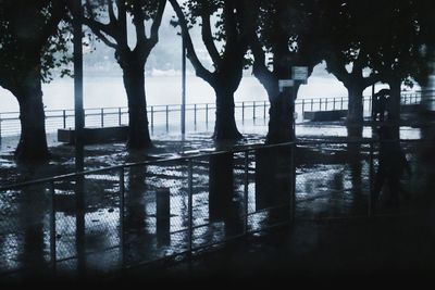 Silhouette trees by lake in city