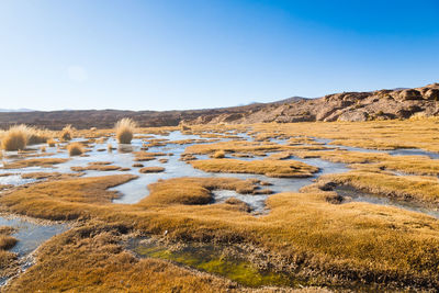 Scenic view of landscape against clear sky