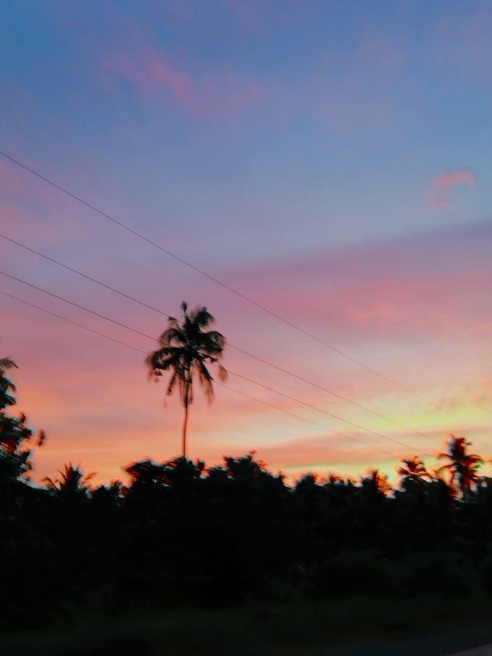 LOW ANGLE VIEW OF SILHOUETTE PALM TREES AGAINST SKY DURING SUNSET