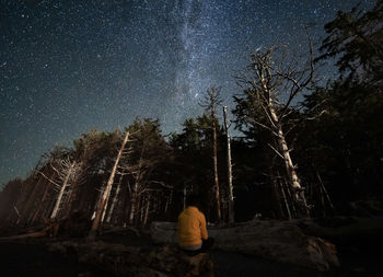 Rear view of man on rock at night