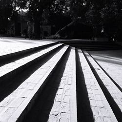 Shadow of trees on ground