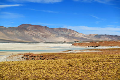 Salar de talar, part of a series of high plateau salt lakes at the altitude of 3,950 m. chile