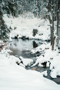 Scenic view of snow covered land and trees