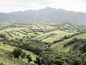 High angle view of landscape