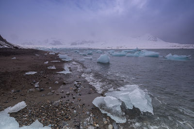 Chunks of ice from glacier on mainland arctic beach.