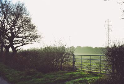 Fence on grassy field