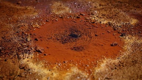 Full frame shot of wet sand