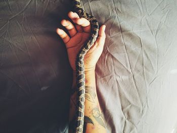 High angle view of snake on tattooed hand