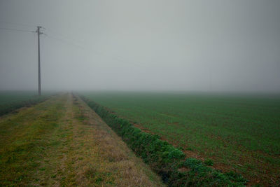 Scenic view of grassy field in foggy weather