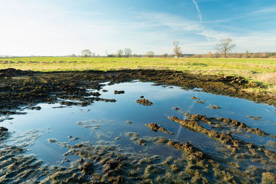 Water and mud in the meadow, spring day