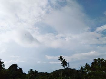 Low angle view of trees against sky