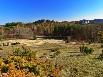 Scenic view of landscape against clear blue sky