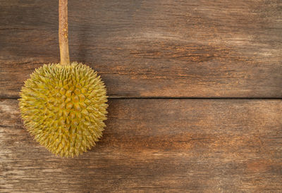 High angle view of fruit on table