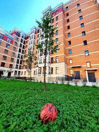 Lawn by building against sky