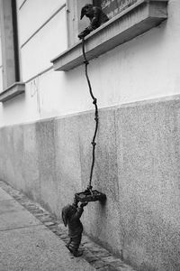 Close-up of hanging light against wall