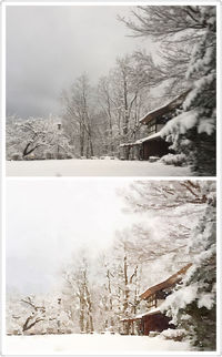 Snow covered field