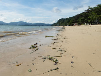 Scenic view of beach against sky