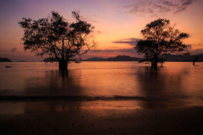 Silhouette tree by lake against sky during sunset