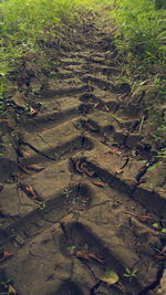 High angle view of water flowing in forest