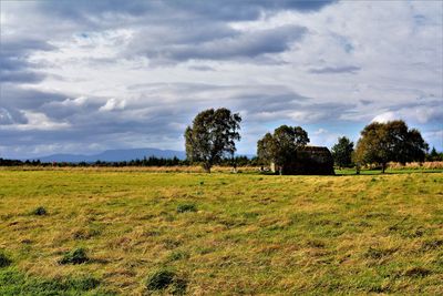 Scenic view of field against sky