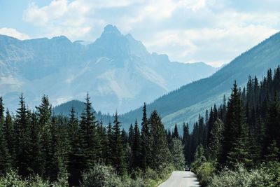 Panoramic view of trees and mountains against sky