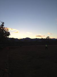 Silhouette of trees on field at sunset