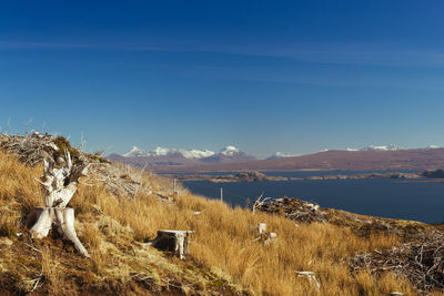 Panoramic view of landscape against blue sky