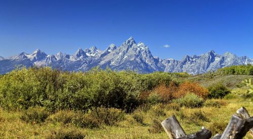 Scenic view of landscape against clear blue sky