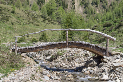 View of bridge in forest