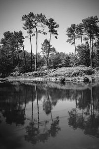 Reflection of trees in lake against sky