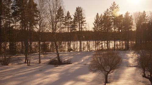 Scenic view of snow covered lake against sky during winter