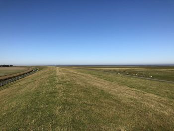 Scenic view of field against clear blue sky