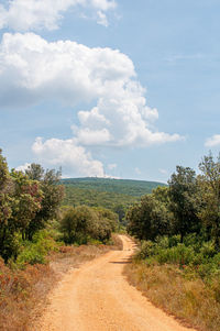 Dirt road amidst plants and trees against sky