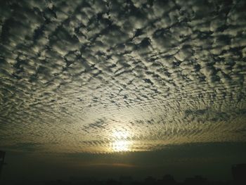 Close-up of silhouette plants against sky during sunset