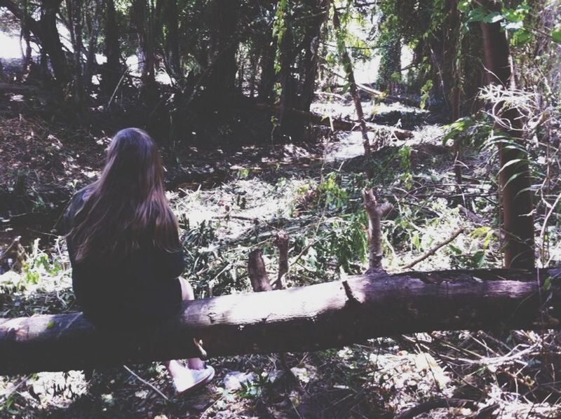 tree, forest, lifestyles, leisure activity, young adult, tree trunk, young women, person, sitting, nature, casual clothing, long hair, day, waist up, tranquility, standing, rear view, three quarter length