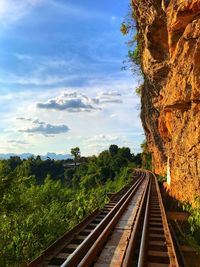 Railroad tracks amidst trees against sky