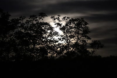 Low angle view of silhouette tree against sky at sunset