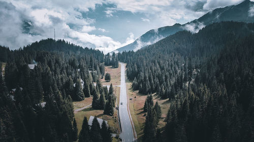 Panoramic view of pine trees and mountains against sky