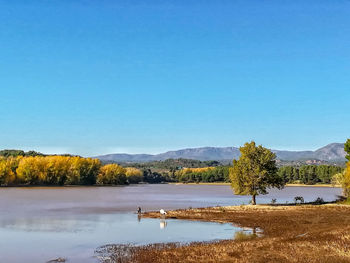 Scenic view of lake against clear blue sky