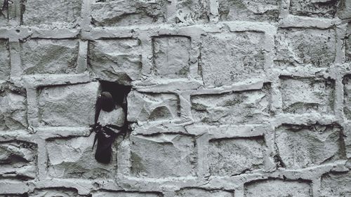 Low angle view of a brick wall
