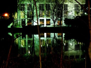 Reflection of trees in greenhouse at night