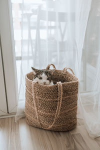indoors